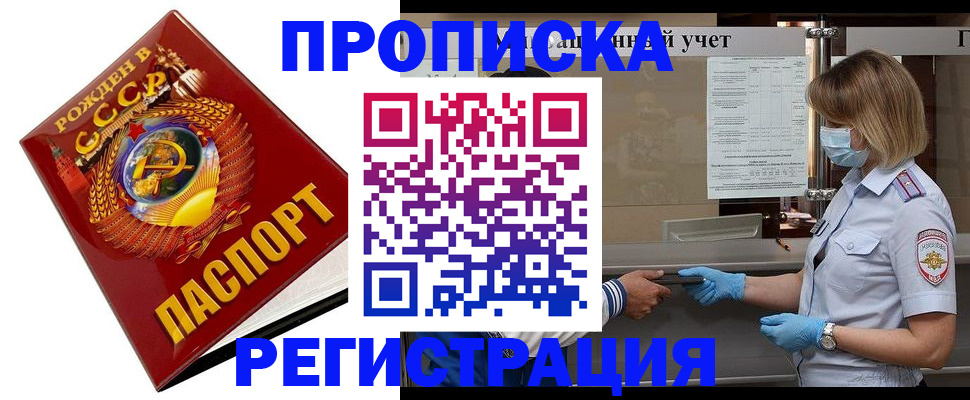 прописка штамп в Палласовке